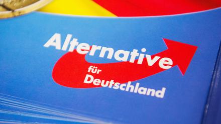 Ein Flyer der AfD. Jetzt auch als Fake-E-Mail.