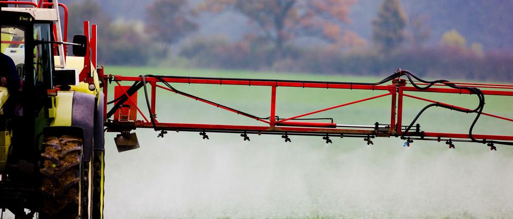 Die Beweise nehmen zu, dass der Pestizideinsatz in der Landwirtschaft das Bienensterben befördert.