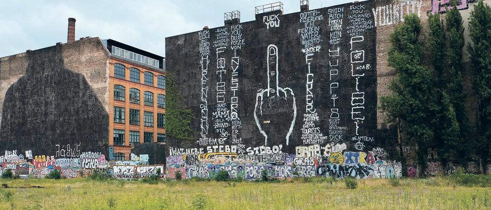 Die Cuvrybrache noch ohne Rohbauten, aber mit Protest-Mittelfinger. 