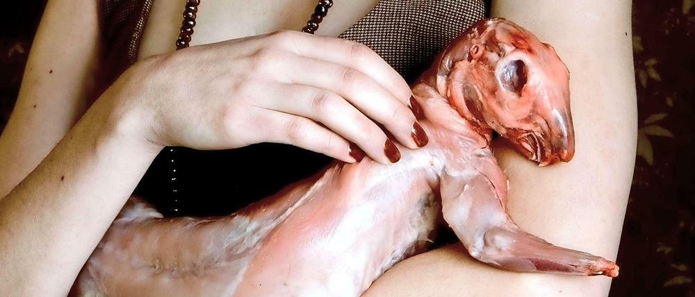Zart und schaurig. Carina Linges "Dame mit Kaninchen", 2008. 