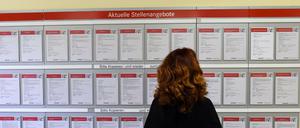 Eine Frau betrachtet am in der Arbeitsagentur aktuelle Stellenangebote. Darunter sind auch Angebote von Sozialbetrieben, die bei der Qualifizierung von Langzeitarbeitslosen helfen sollen - und vom Staat gefördert werden.