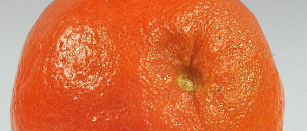 Unter Mandarinen hatte sich angeblich die Schlange versteckt.