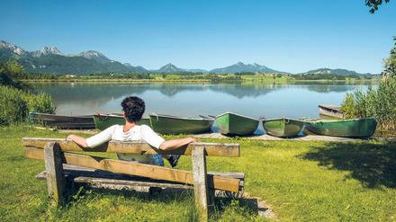 Heimat und Einsamkeit. Die Politik bedient immer öfter Gefühle.
