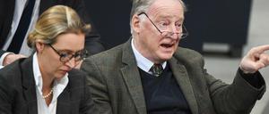 Die AfD-Fraktionschefs Alice Weidel und Alexander Gauland im Bundestag.
