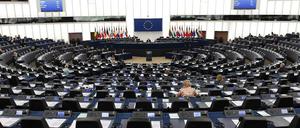 Im kommenden Jahr wird das Europaparlament neu gewählt.