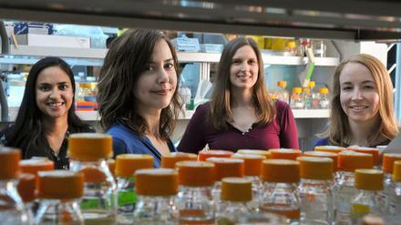 Christina Smolke (zweite von links) und ihr Team an der Universität Stanford verwandeln Bierhefe in Arzneimittelproduzenten.