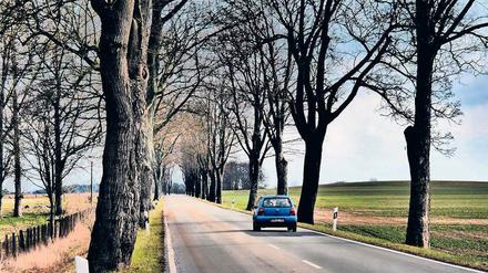 Brandenburg ist das Bundesland, in dem sich, gemessen an der Einwohnerzahl, die meisten Verkehrsunfälle ereignen.