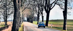 Brandenburg ist das Bundesland, in dem sich, gemessen an der Einwohnerzahl, die meisten Verkehrsunfälle ereignen.