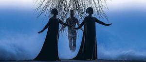 Adam (im Hintergrund) sucht seinen Weg.