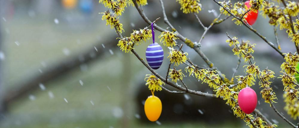 Schnee auf Ostereiern.