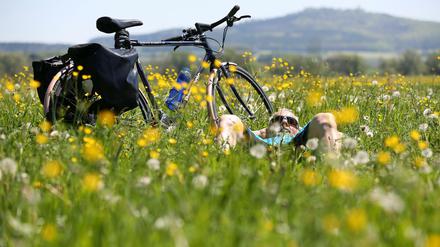 Endlich wieder Fahrradsaison! Wenn das Rad nicht zusammengeschlossen wird.