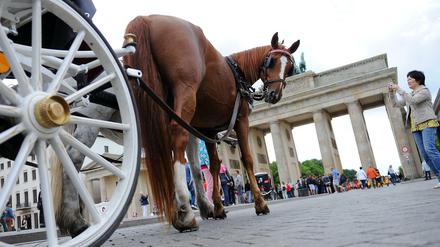 Pferdestärken vor dem Brandenburger Tor in Berlin.