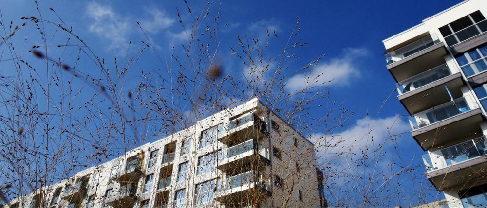 Wachstumsschub. In Berlin wird viel gebaut, wie hier am Gleisdreieckpark.