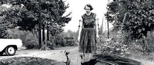Politische Korrektheit war ihr fremd. Flannery O'Connor auf ihrer Andalusia genannten Farm in Georgia (1962). 