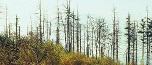 Apokalyptisch. Es waren die Siebziger, die Zeit des Waldsterbens in Deutschland, der Giftkatastrophe im italienischen Seveso und des „stillen Frühlings“ aufgrund von DDT. Die Prognosen der Wissenschaftler des „Club of Rome“ trugen dazu bei, dass Umweltverschmutzung ernst genommen wurde und Politik und Gesetze sich änderten. 