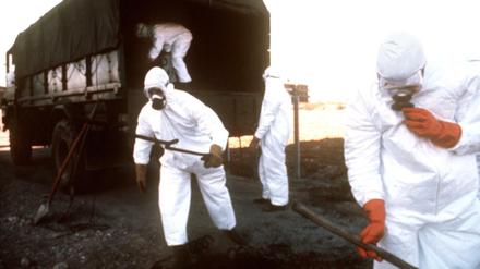 Unfälle wie in Seveso trugen dazu bei, dass die Warnungen des "Club of Rome" wahrgenommen wurden. 1976 war aus dem Chemiewerk Icmesa nahe Mailand eine Giftgaswolke entwichen und hatte die Nachbargemeinde Seveso verseucht.