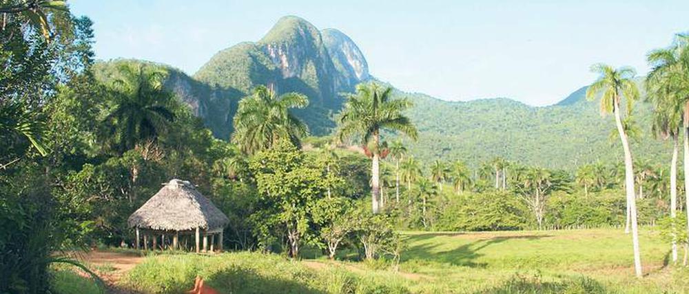 Malerisch: Über dem Tal von Vinales in der Provinz Pinar del Rio thronen die Mogotes, steile Karsthügel, die aufgrund ihres einzigartigen Pflanzenbewuchses unter Naturschutz stehen.