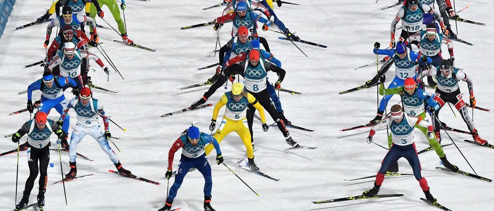Da laufen sie. Manche sauber, andere vermutlich nicht. So genau weiß das niemand.