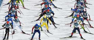 Da laufen sie. Manche sauber, andere vermutlich nicht. So genau weiß das niemand.