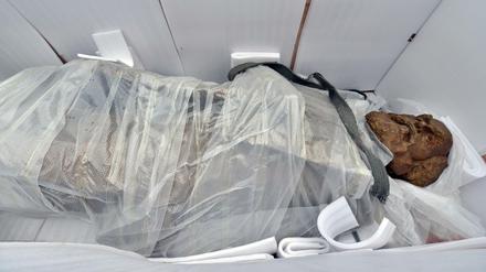Die Karl-Marx-Statue, ein Geschenk Chinas an die Stadt Trier, liegt nach der Anlieferung in einer geöffneten Holzkiste. 
