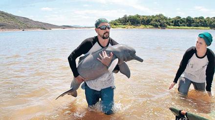 Lächeln. Das Flussdelfin-Junge kann nicht anders, es hat eben anatomisch bedingt diesen Gesichtsausdruck, obwohl ein Landausflug es stresst. Dem Biologen Fernando Trujillo ist auch oft nicht nach Lachen zumute – etwa, wenn er Morddrohungen erhält. 
