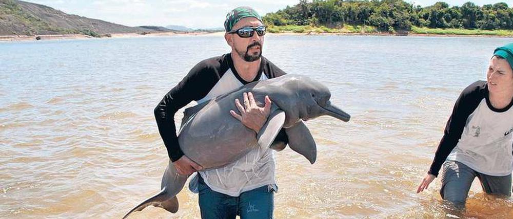 Lächeln. Das Flussdelfin-Junge kann nicht anders, es hat eben anatomisch bedingt diesen Gesichtsausdruck, obwohl ein Landausflug es stresst. Dem Biologen Fernando Trujillo ist auch oft nicht nach Lachen zumute – etwa, wenn er Morddrohungen erhält.