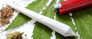 Joint und Cannabis
