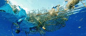 Ob im ganzen oder geschreddert in Mikroteilchen - Plastik sammelt sich in den Ozeanen an, weil es nicht abgebaut wird. Ein Enzym könnte das Problem lösen helfen.