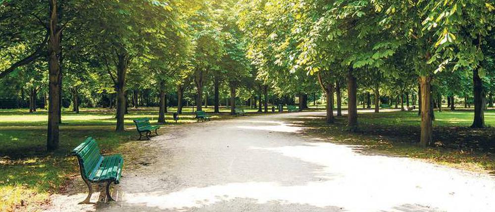 So idyllisch könnte es im Tiergarten aussehen. Die Jobs, die Müller schaffen will, sind solche, die eingespart wurden.