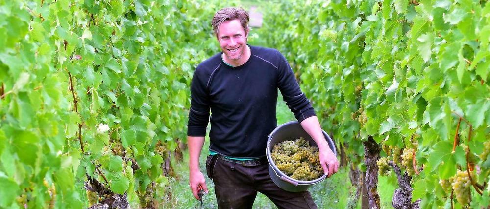 Stephan Krämer produziert seine natürlich perlenden Weine im fränkischen Auernhofen nach den Naturland-Richtlinien.