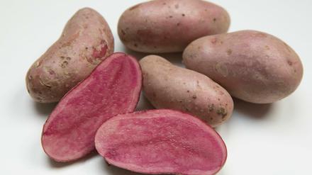 Wie kann sichergestellt werden, dass in der Bio-Kartoffel auch bio drin ist? Die Kartoffel des Jahres 2018 namens "Rote Emmalie".