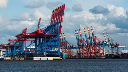 Containerbrücken in Hamburg. Die deutsche Wirtschaft wächst weiter. 