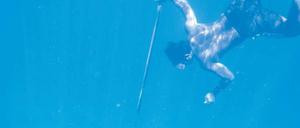 X-Men? Bei den Bajau wurde die Milz im Laufe der Zeit genetisch ans Tauchen angepasst.