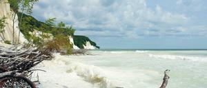 Kreidefelsen auf Rügen