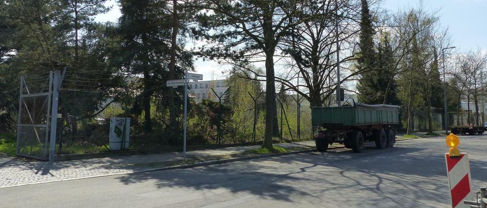 Flüchtlingsunterkunft oder Turnhalle: CDU-Fraktionschef Torsten Hippe behauptet, es gäbe keinen Ersatzstandort.
