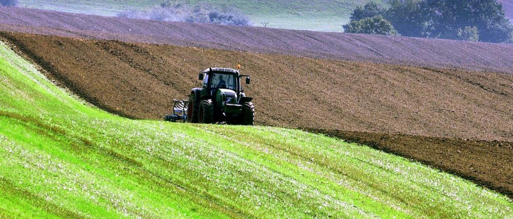 Ein Acker in Mecklenburg-Vorpommern: Verdient er mehr Subventionen als ein osteuropäischer?