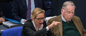 Die AfD im Bundestag sammelt Antworten auf Fragen – von Bundesbinnenwasserstraßen bis Vielehe.