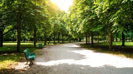 Sieht eigentlich ganz harmlos aus: der Berliner Tiergarten 