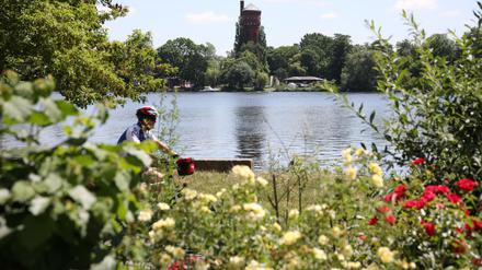 Immer an der Havel entlang ... hier bei Potsdam auf dem Havelradweg. 