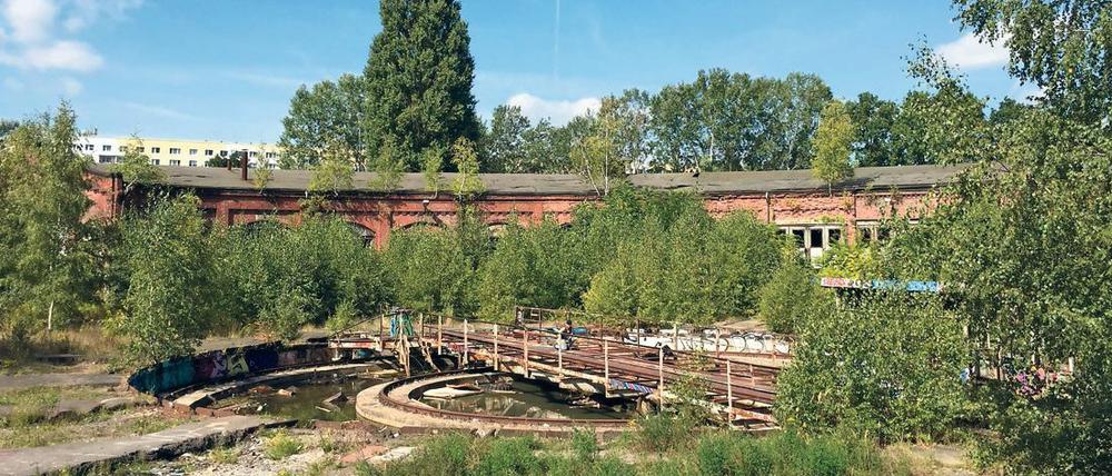 Auf dem ehemaligen Güterbahnhof Pankow sollen Wohnungen, Einkaufsmöglichkeiten, eine Schule und ein Möbelhaus entstehen.