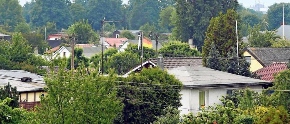 Datschenparadies. Kleingärten sind für viele Berliner eine zweite Heimat.