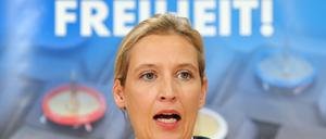 "Nazi-Drecksau": Alice Weidel will beleidigenden Post bei Facebook ein für alle Mal gelöscht haben.