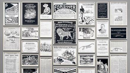 In seiner Serie "Auf frischer Tat (CaughtRedHanded)" untersucht Fernando Brye die Systematik eines Naturkundemuseums.