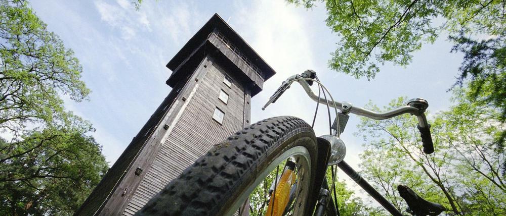 Hoch hinaus mit der Filmgeschichte. Der Woltersdorfer Aussichtsturm.