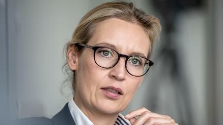 AfD-Fraktionschefin Alice Weidel hat erfolgreich gegen Facebook wegen eines Kommentars geklagt. 