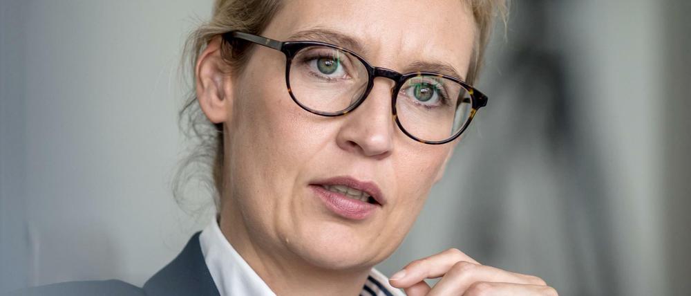 AfD-Fraktionschefin Alice Weidel hat erfolgreich gegen Facebook wegen eines Kommentars geklagt. 