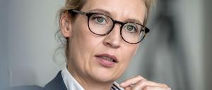 AfD-Fraktionschefin Alice Weidel hat erfolgreich gegen Facebook wegen eines Kommentars geklagt. 