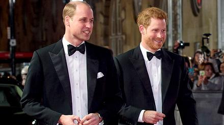 Die britischen Prinzen William (links) und Harry.