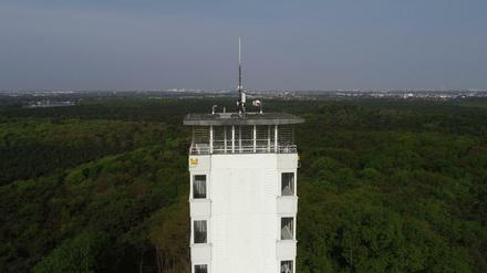 Der Müggelturm seit 1889 ein beliebtes Ausflugsziel. Nach einem Brand errichtete die DDR das Bauwerk neu. Nun wurde es saniert. 
