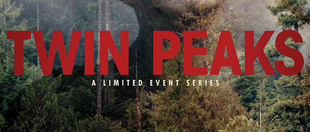 Der Neuauflage der Erfolgsserie "Twin Peaks" auf Sky ging "Twin Peaks - Der Film" voraus, in dem Gidley mitspielte.